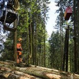 Le triage Lienne-Morge dans le viseur de l'Etat du Valais (image d'illustration)